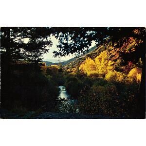 Cimarron River Cimarron New Mexico Postcard Unposted